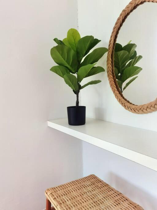 Emerald Avenue Cozy 3r3b 830 Apartment *